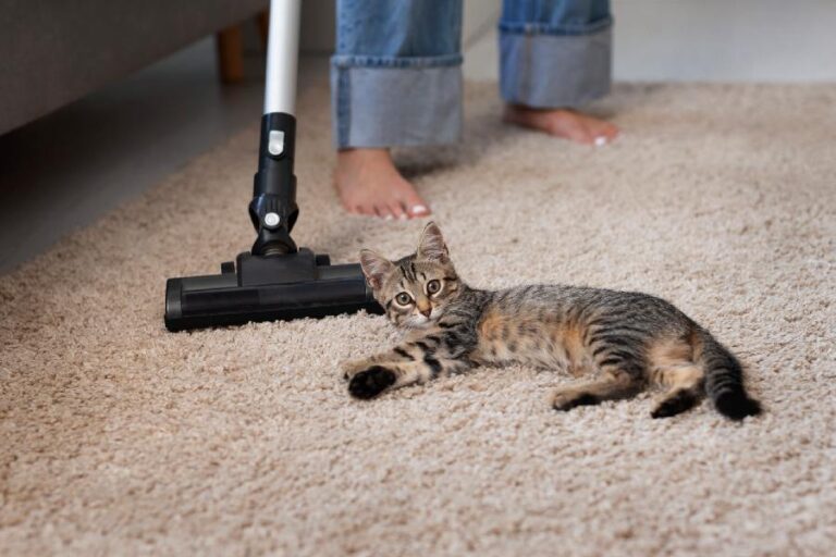 Top 7 mẹo khử mùi thảm giúp phòng luôn thơm mát