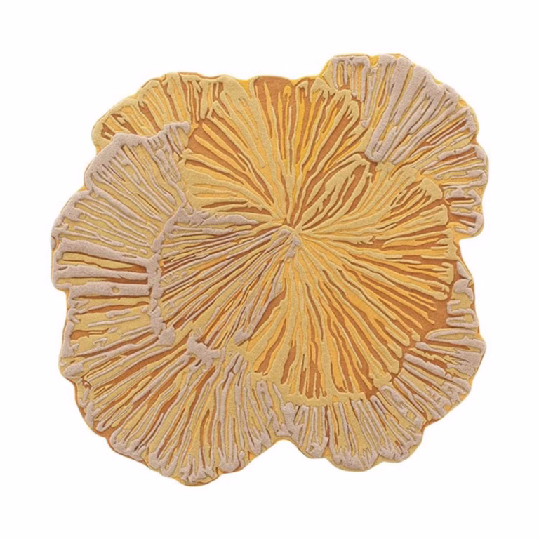 Thảm dệt thủ công Botanica - Thảm nghệ thuật Rug Art cao cấp