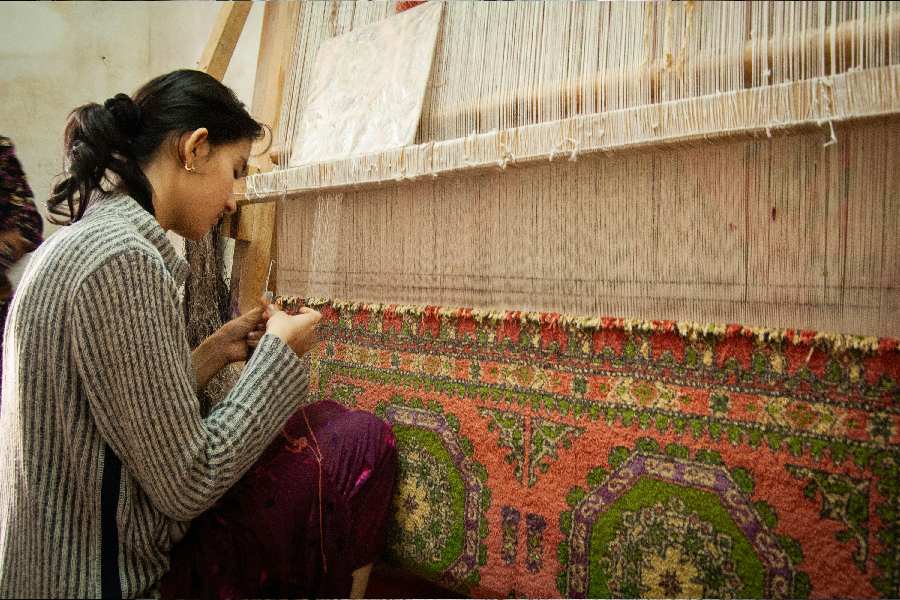 Tổng hợp các loại thảm trải sàn gia đình