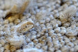 Nguyên nhân rụng lông thảm trải sàn và cách khắc phục