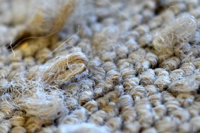 Nguyên nhân rụng lông thảm trải sàn và cách khắc phục