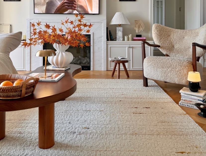 Thảm trải sàn phòng khách loại nào tốt? Gợi ý theo nhu cầu và ngân sách