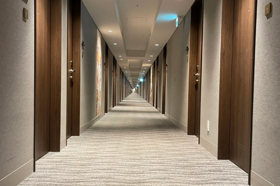 Mẫu thảm hành lang khách sạn đẹp 9